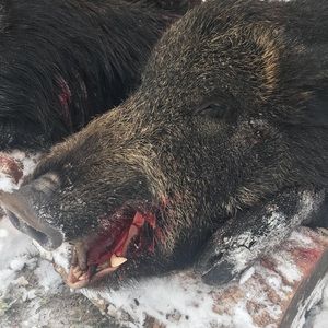 Meet your Posher, Brian